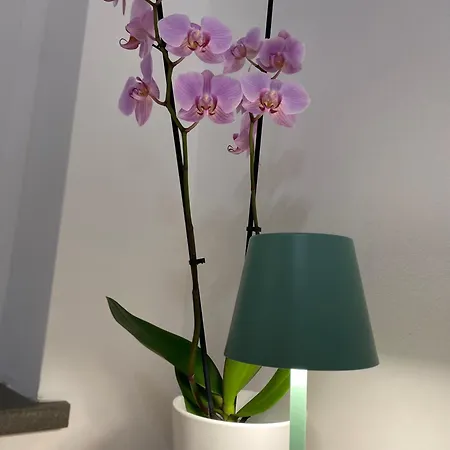 Guest house Torrione Venzone