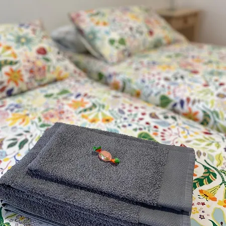 Casa de hóspedes Torrione 3*